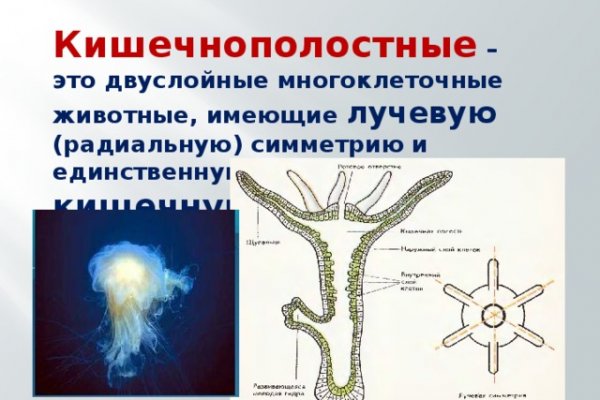 Кракен ссылка 25