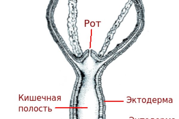 Аккаунты кракен