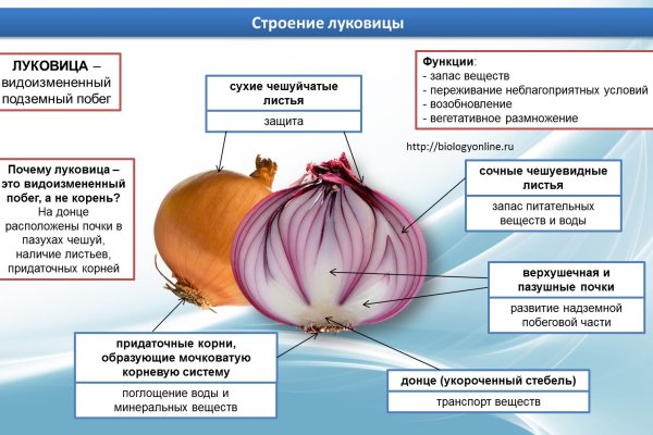 Ссылка на кракен 11