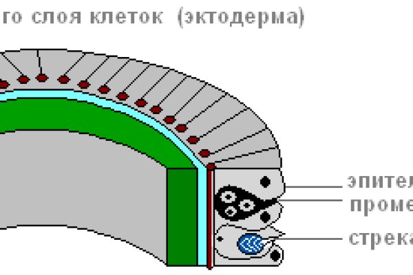 Блэкспрут зеркало кракен