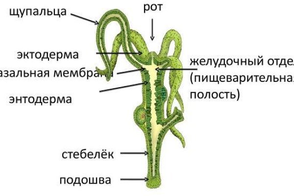 Кракен зеркало krakenat2krnkrnk com