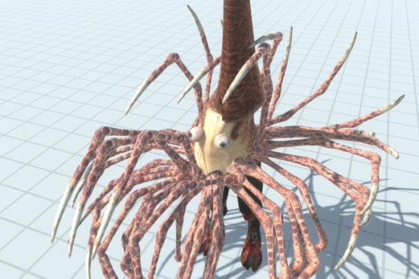 Kraken даркнет рынок ссылка