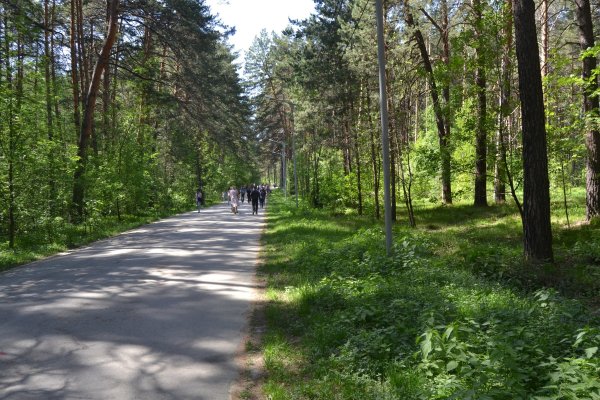 Ссылки на дарк нет
