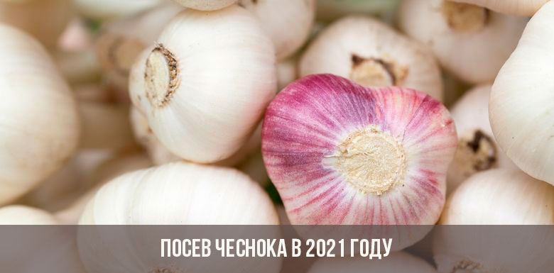 Даркнет маркет кракен onion