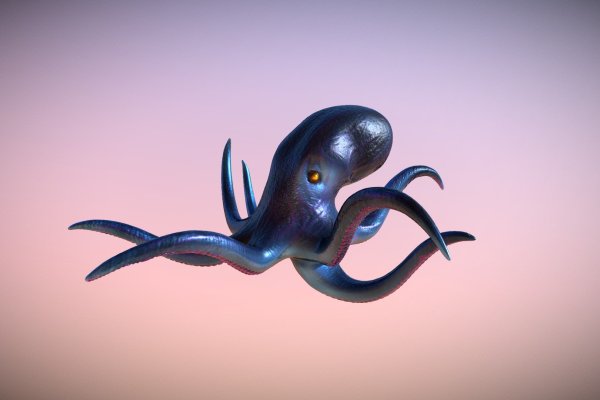 Как найти kraken